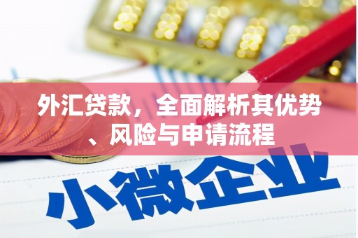 阿合奇外汇贷款，全面解析其优势、风险与申请流程