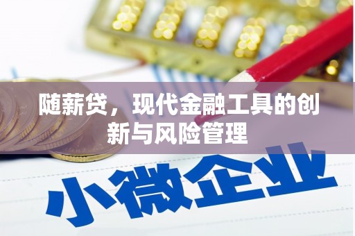 阿合奇随薪贷，现代金融工具的创新与风险管理