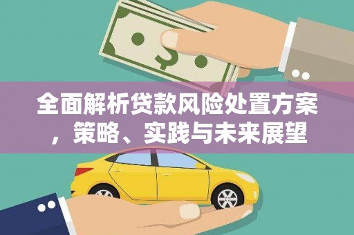 阿合奇全面解析贷款风险处置方案，策略、实践与未来展望