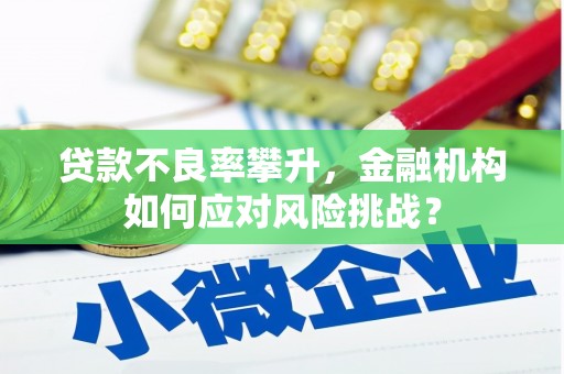 阿合奇贷款不良率攀升，金融机构如何应对风险挑战？