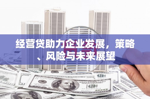 阿合奇经营贷助力企业发展，策略、风险与未来展望