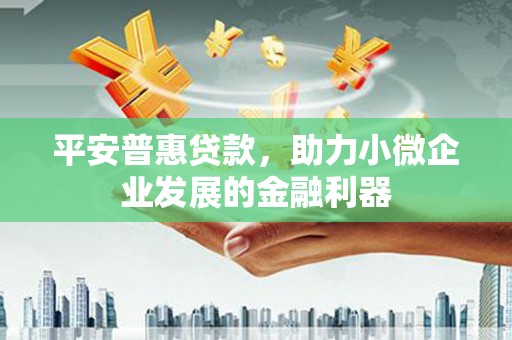 阿合奇平安普惠贷款，助力小微企业发展的金融利器