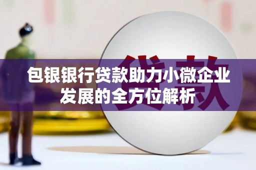 阿合奇包银银行贷款助力小微企业发展的全方位解析