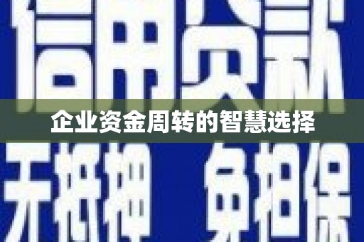 阿合奇企业资金周转的智慧选择