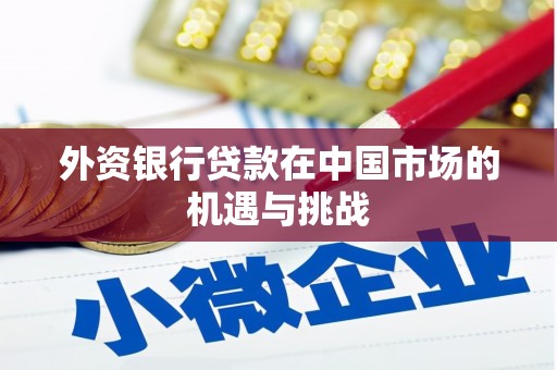 阿合奇外资银行贷款在中国市场的机遇与挑战