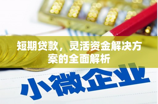 阿合奇短期贷款，灵活资金解决方案的全面解析