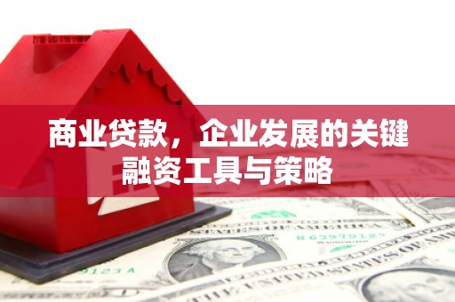 阿合奇商业贷款，企业发展的关键融资工具与策略