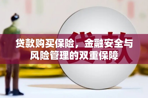 阿合奇贷款购买保险，金融安全与风险管理的双重保障