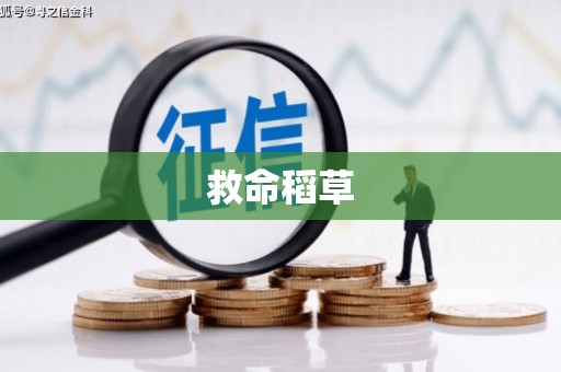 阿合奇救命稻草