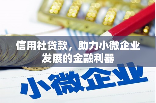 阿合奇信用社贷款，助力小微企业发展的金融利器