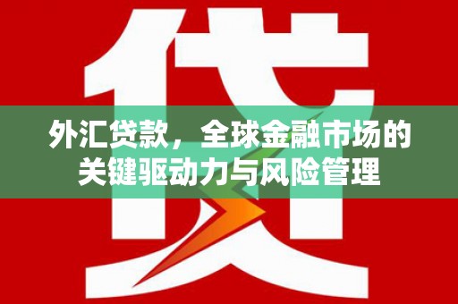 阿合奇外汇贷款，全球金融市场的关键驱动力与风险管理