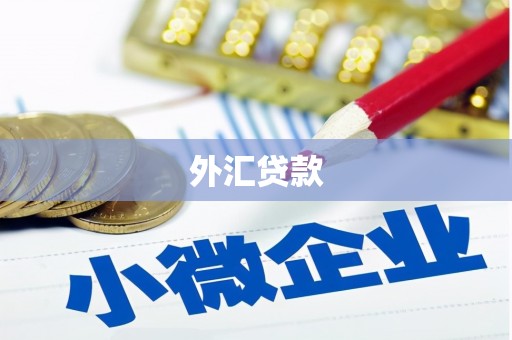 阿合奇外汇贷款