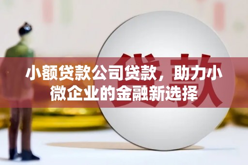 阿合奇小额贷款公司贷款，助力小微企业的金融新选择
