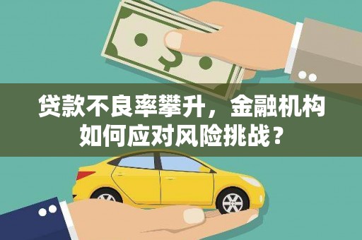 阿合奇贷款不良率攀升，金融机构如何应对风险挑战？