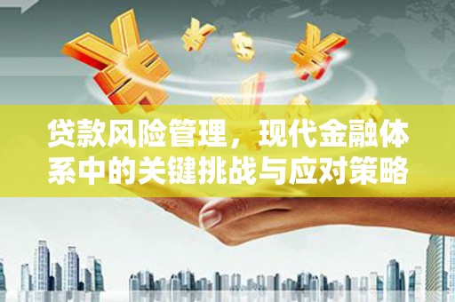 阿合奇贷款风险管理，现代金融体系中的关键挑战与应对策略