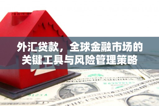 阿合奇外汇贷款，全球金融市场的关键工具与风险管理策略