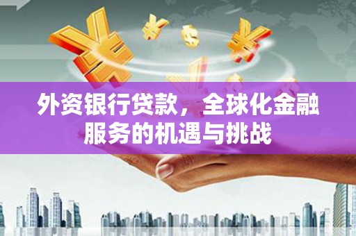 阿合奇外资银行贷款，全球化金融服务的机遇与挑战