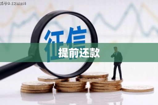 阿合奇提前还款