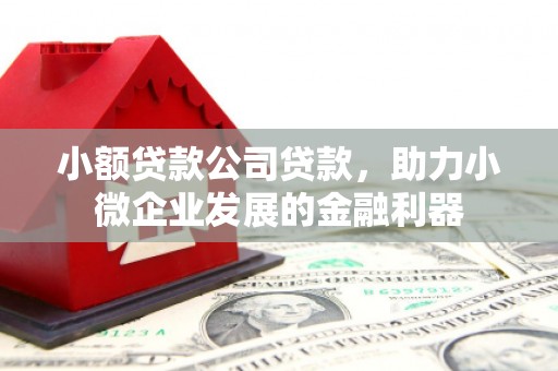 阿合奇小额贷款公司贷款，助力小微企业发展的金融利器