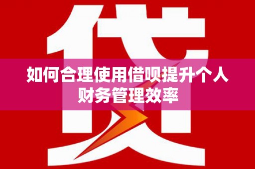 阿合奇如何合理使用借呗提升个人财务管理效率