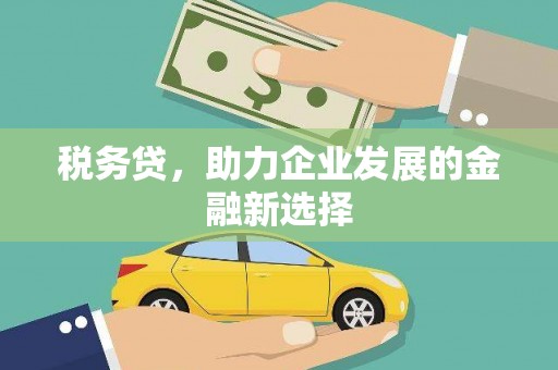 阿合奇税务贷，助力企业发展的金融新选择