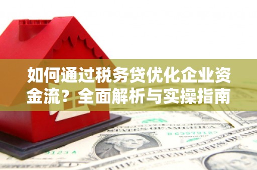 阿合奇如何通过税务贷优化企业资金流？全面解析与实操指南