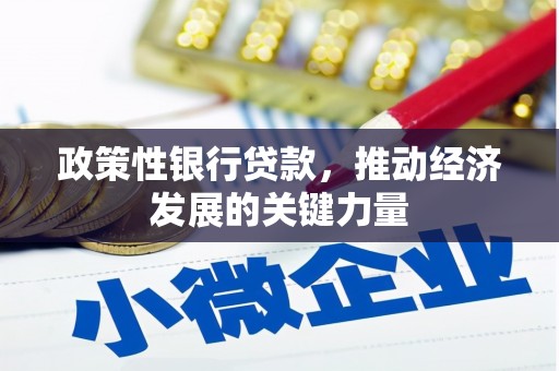 阿合奇政策性银行贷款，推动经济发展的关键力量