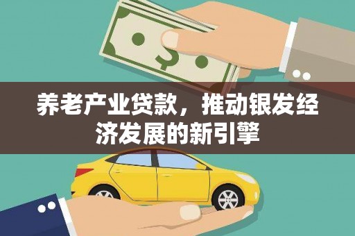 阿合奇养老产业贷款，推动银发经济发展的新引擎