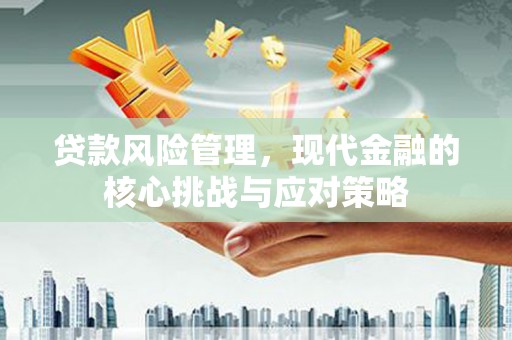 阿合奇贷款风险管理，现代金融的核心挑战与应对策略