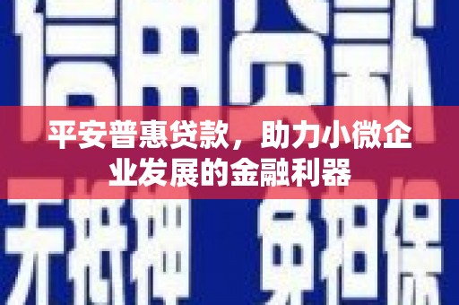 阿合奇平安普惠贷款，助力小微企业发展的金融利器