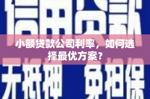 阿合奇小额贷款公司利率，如何选择最优方案？
