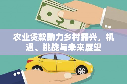 阿合奇农业贷款助力乡村振兴，机遇、挑战与未来展望
