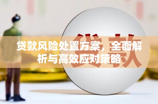 阿合奇贷款风险处置方案，全面解析与高效应对策略