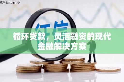 阿合奇循环贷款，灵活融资的现代金融解决方案