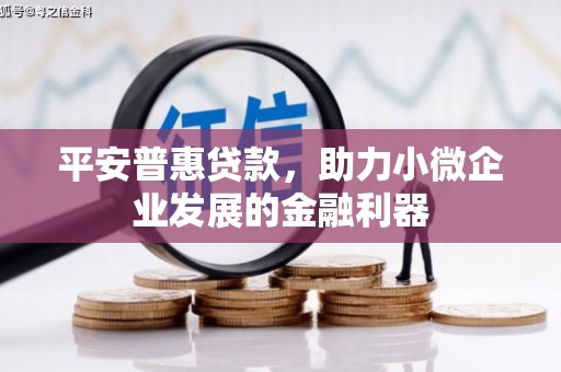 阿合奇平安普惠贷款，助力小微企业发展的金融利器