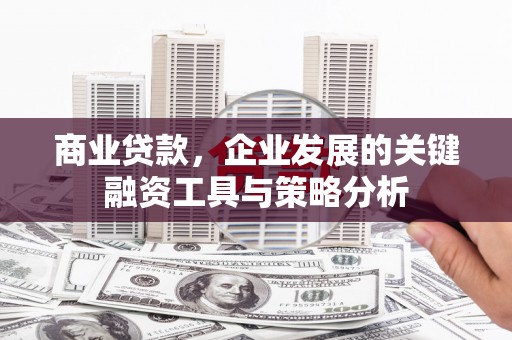 阿合奇商业贷款，企业发展的关键融资工具与策略分析
