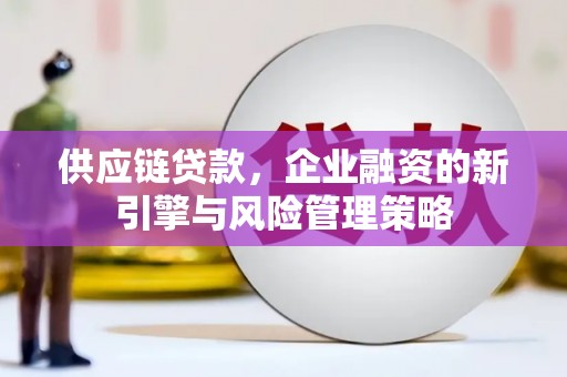 阿合奇供应链贷款，企业融资的新引擎与风险管理策略