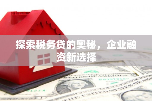 阿合奇探索税务贷的奥秘，企业融资新选择