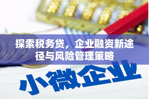 阿合奇探索税务贷，企业融资新途径与风险管理策略