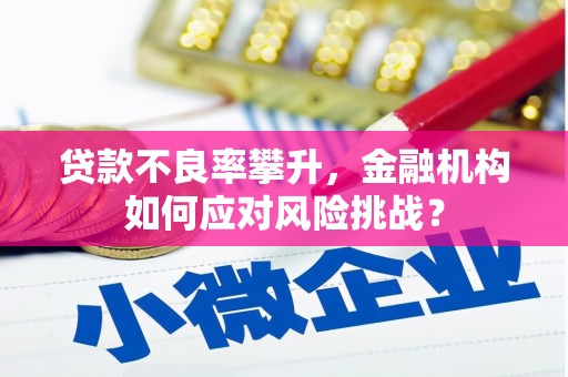 阿合奇贷款不良率攀升，金融机构如何应对风险挑战？