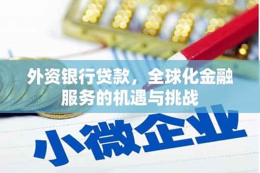 阿合奇外资银行贷款，全球化金融服务的机遇与挑战