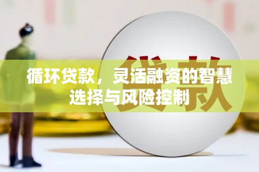 阿合奇循环贷款，灵活融资的智慧选择与风险控制