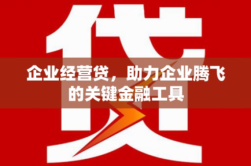 阿合奇企业经营贷，助力企业腾飞的关键金融工具