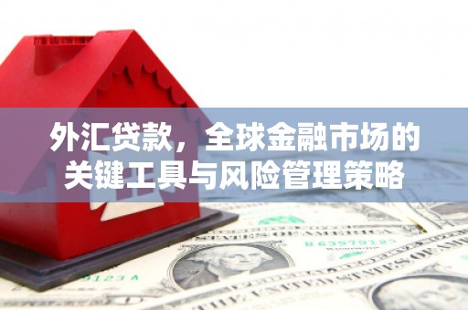 阿合奇外汇贷款，全球金融市场的关键工具与风险管理策略