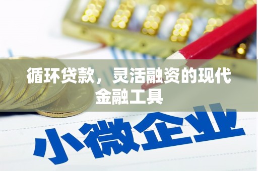 阿合奇循环贷款，灵活融资的现代金融工具