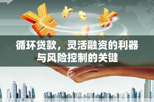 阿合奇循环贷款，灵活融资的利器与风险控制的关键