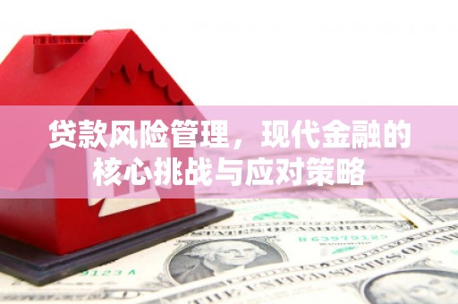 阿合奇贷款风险管理，现代金融的核心挑战与应对策略