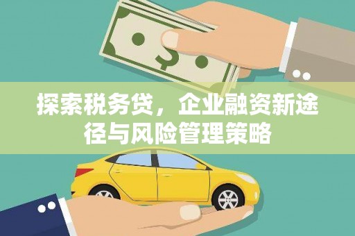阿合奇探索税务贷，企业融资新途径与风险管理策略