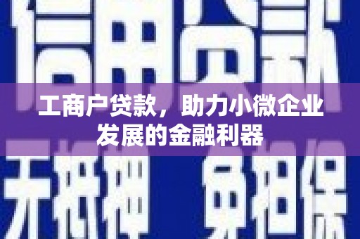 阿合奇工商户贷款，助力小微企业发展的金融利器