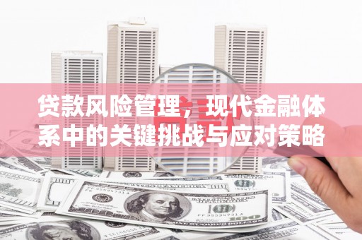 阿合奇贷款风险管理，现代金融体系中的关键挑战与应对策略